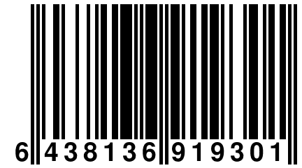 6 438136 919301