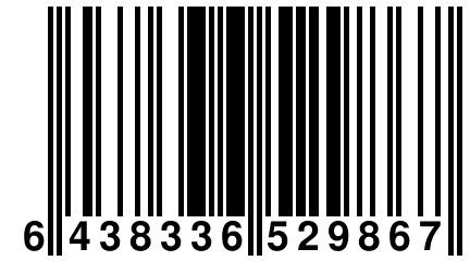 6 438336 529867