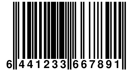 6 441233 667891