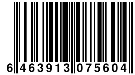 6 463913 075604