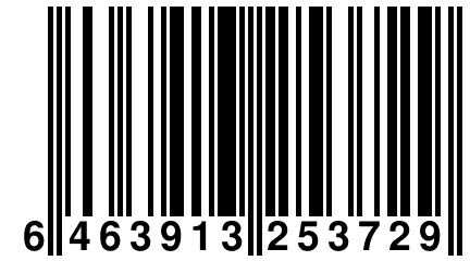 6 463913 253729