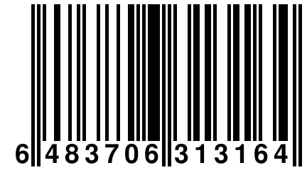 6 483706 313164