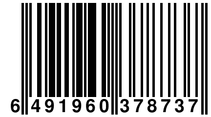 6 491960 378737