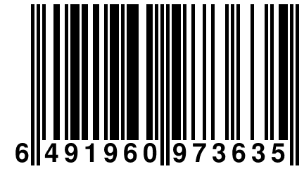 6 491960 973635