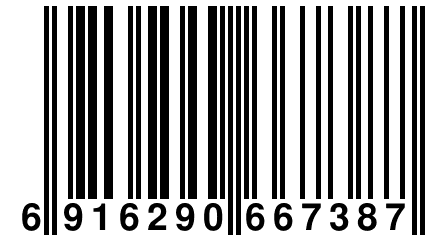 6 916290 667387