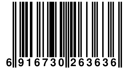 6 916730 263636