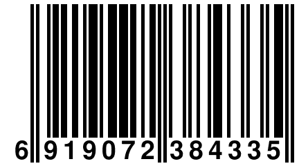 6 919072 384335