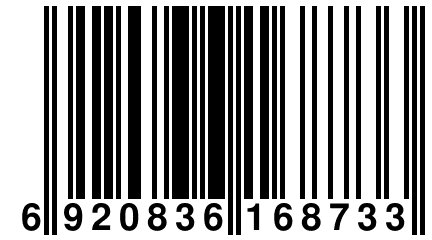 6 920836 168733