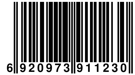 6 920973 911230