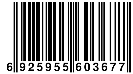 6 925955 603677