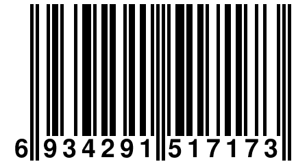 6 934291 517173