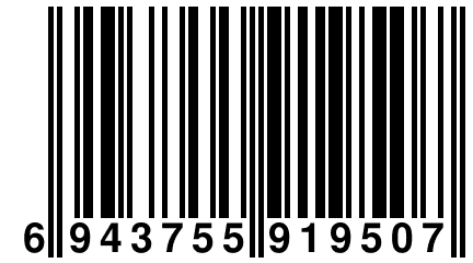 6 943755 919507