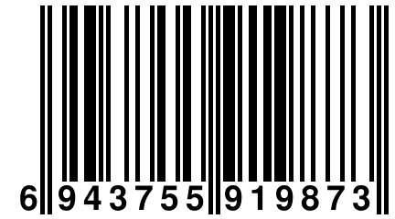 6 943755 919873