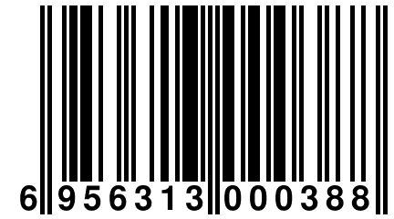 6 956313 000388
