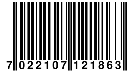 7 022107 121863