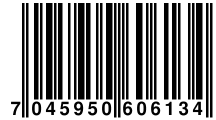 7 045950 606134