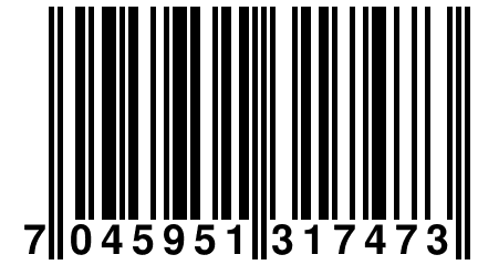 7 045951 317473