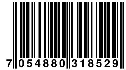 7 054880 318529