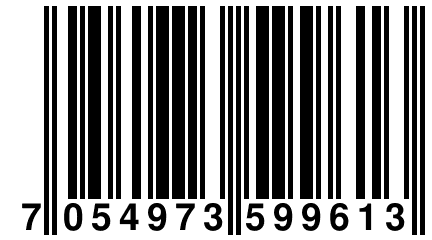 7 054973 599613