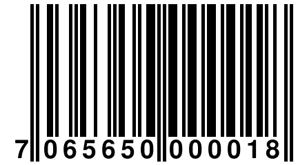 7 065650 000018