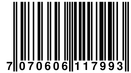 7 070606 117993