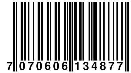 7 070606 134877