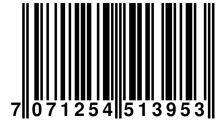 7 071254 513953