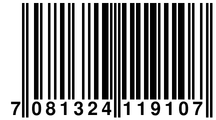 7 081324 119107