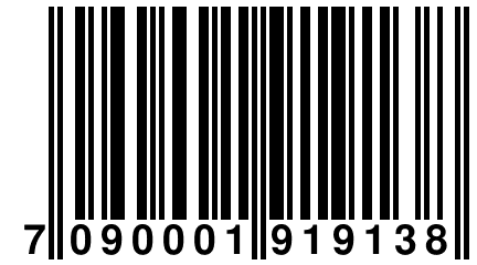 7 090001 919138