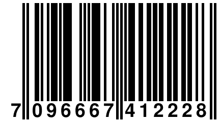 7 096667 412228