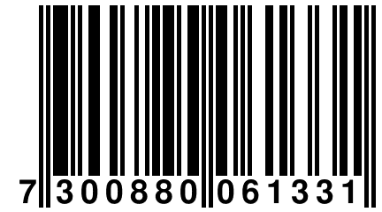 7 300880 061331