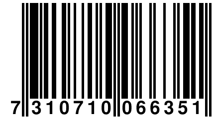 7 310710 066351