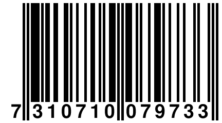 7 310710 079733