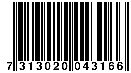 7 313020 043166