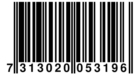 7 313020 053196