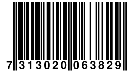 7 313020 063829