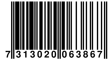 7 313020 063867