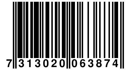 7 313020 063874