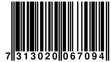 7 313020 067094