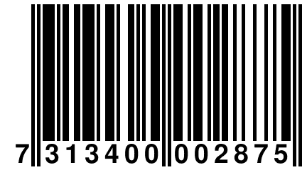 7 313400 002875