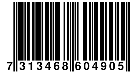 7 313468 604905