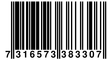 7 316573 383307