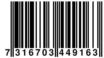 7 316703 449163