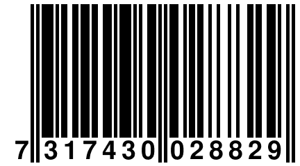 7 317430 028829