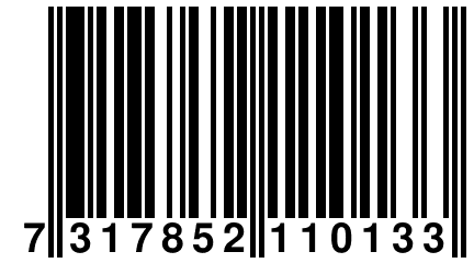 7 317852 110133