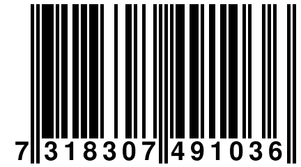 7 318307 491036