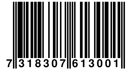 7 318307 613001