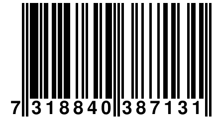 7 318840 387131