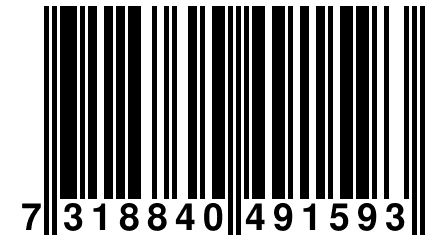 7 318840 491593