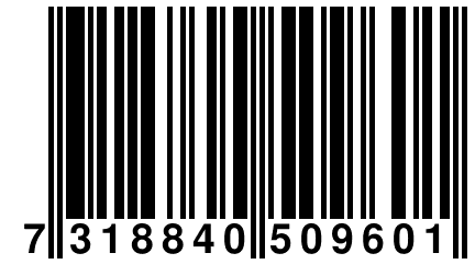 7 318840 509601